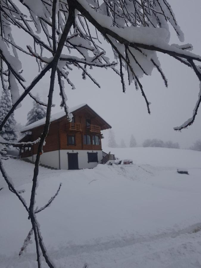 Tulean Cabin Săcel Extérieur photo