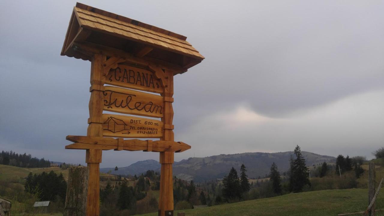 Tulean Cabin Săcel Extérieur photo