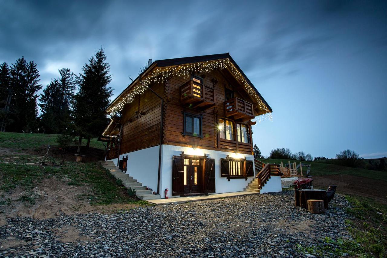 Tulean Cabin Săcel Extérieur photo