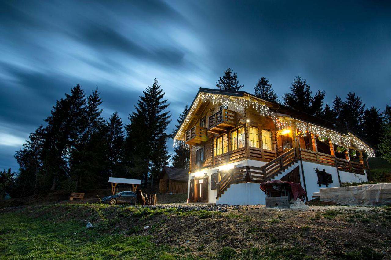 Tulean Cabin Săcel Extérieur photo