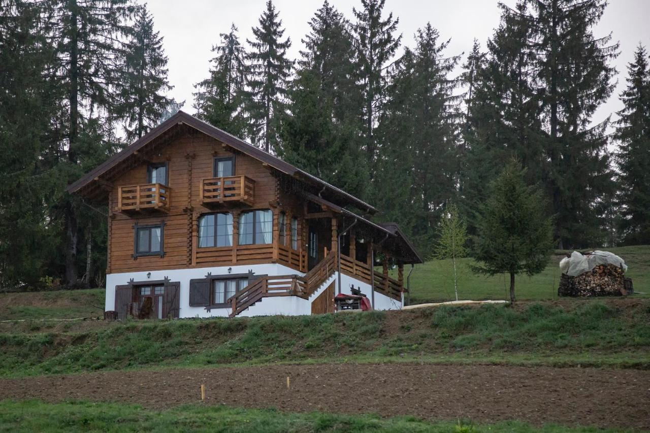 Tulean Cabin Săcel Extérieur photo