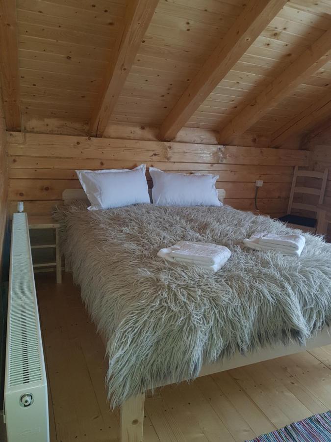 Tulean Cabin Săcel Extérieur photo