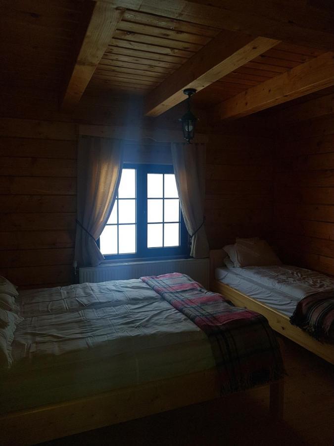 Tulean Cabin Săcel Extérieur photo
