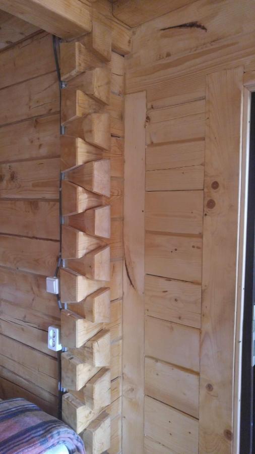 Tulean Cabin Săcel Extérieur photo