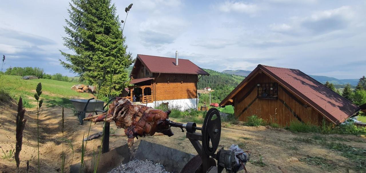 Tulean Cabin Săcel Extérieur photo